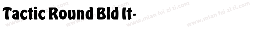 Tactic Round Bld It字体转换